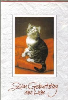 Geburtstagskarte tabby Katze