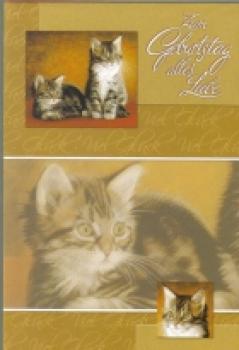 Geburtstagskarte Kätzchen