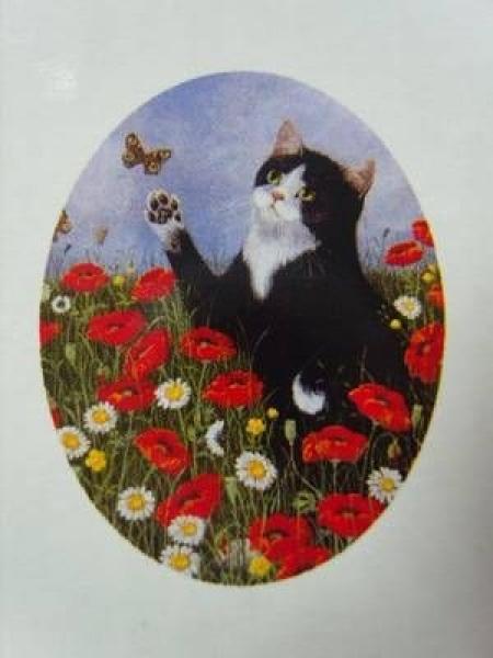 Pillendose Katze im Blumenbeet