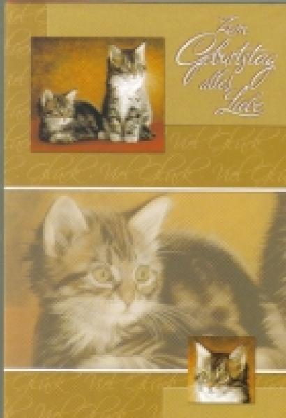 Geburtstagskarte Kätzchen