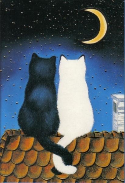 Postkarte Katzen bei Nacht