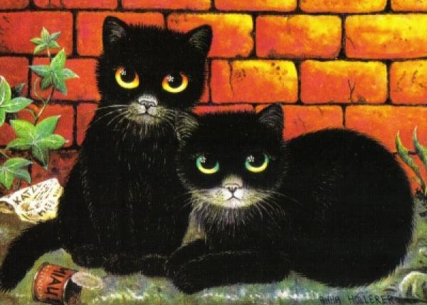 Postkarte schwarze Katzen