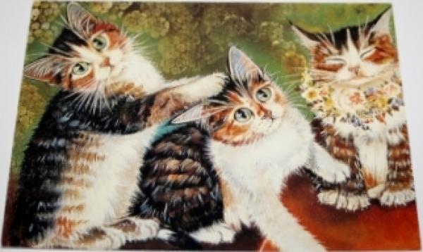 Postkarte 3 Kätzchen