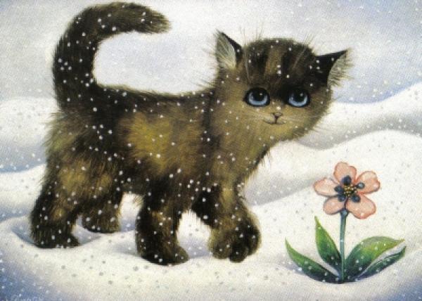 Postkarte Katze im Wintergarten